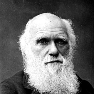 Portrait de Charles Darwin